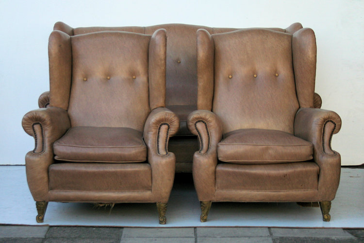 Juego De Living Frances Bergere Sofa Sillones